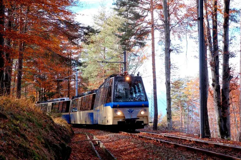 Il treno Vigezzina tra i boschi d'autunno
